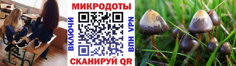 Псилоцибиновые грибы Magic Shrooms  Белореченск 